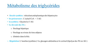 Métabolisme des triglycérides
• lieu de synthèse : réticulumendoplasmiquedes hépatocytes
• les précurseurs : L’acétyl CoA + 3 AG
• la synthèse : Glycérol et 3 AG
• Le devenir des TG :
o Stockage hépatique
o Stockage au niveau de tissu adipeux
o éliminés dans la bile.
o Régulation:L’insuline (synthèse )/ Le glucagon adrénalineet le cortisol (lipolyse des TG en AG )
 