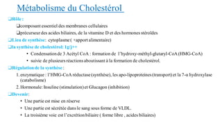 Métabolisme du Cholestérol
❑Rôle:
❑composant essentiel des membranes cellulaires
❑précurseurdes acides biliaires, de la vitamine D et des hormones stéroïdes
❑Lieu de synthèse: cytoplasme( +apport alimentaire)
❑la synthèse de cholestérol:1g/j++
• Condensationde 3 Acétyl CoA : formation de l’hydroxy-méthyl-glutaryl-CoA(HMG-CoA)
• suivie de plusieurs réactionsaboutissant à la formation de cholestérol.
❑Régulationde la synthèse :
1.enzymatique : l’HMG-CoA réductase(synthèse), les apo-lipoproteines(transport)et la 7-α hydroxylase
(catabolisme)
2.Hormonale: Insuline (stimulation)et Glucagon (inhibition)
❑Devenir:
• Une partie est mise en réserve
• Une partie est sécrétée dans le sang sous forme de VLDL.
• La troisième voie est l’excrétion biliaire ( forme libre , acides biliaires)
 