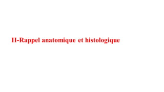 II-Rappel anatomique et histologique
 