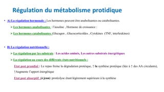Régulation du métabolisme protidique
• A) La régulation hormonale : Les hormones peuvent être anabolisantes ou catabolisantes.
⮚Les hormones anabolisantes : l’insuline , Hormone de croissance :
⮚Les hormones catabolisantes :Glucagon , Glucocorticoïdes , Cytokines (TNF, interleukines)
• B) La régulation nutritionnelle :
⮚La régulation par les substrats : Les acides aminés, Les autres substrats énergétiques
⮚La régulation au cours des différents états nutritionnels :
∙ Etat post prandial : Le repas freine la dégradation protéique, ↑ la synthèse protéique (liée à ↑ des AA circulants),
↑Augmente l’apport énergétique
∙ Etat post absorptif (à jeun) :protéolyse étant légèrement supérieure à la synthèse
 