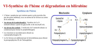 VI-Synthèse de l'hème et dégradation en bilirubine
• L’hème= porphyrine qui contient quatre cycles pyrroles liés
par des ponts méthényl, avec un atome de fer ferreux au centre
de la molécule.
• Au niveau de la mitochondrie : Synthèse de La 5-
aminolévulinate à partir du glycocolle et du succinylCoA).
• Au niveau du cytolsol : 2 molécules de 5-aminolévulinate se
condensent pour former le porphobilinogène
• Les réactions se succèdent pour aboutir au
coproporphyrinogène III.
• Le fer ferreux est additionné par la ferrochélatase pour obtenir
la protoporphyrine IX de l’hémoglobine
Synthèse de l’hème
 