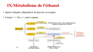 IX-Métabolisme de l'éthanol
• Apport endogène (dégradation du glucose) ou exogène.
• Toxique ++: foie ++, autres organes
 