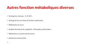 Autres fonction métaboliques diverses
• Stockage des vitamines : A, D, B12…
• Stockage de fer sous forme de ferritine ( apoferritine)
• Métabolisme du cuivre
• Synthèse des facteurs de coagulation : fibrinogène, prothrombine…
• Métabolisme et excrétion des hormones
• Sécrétion de calcium (bile)
• ….
 
