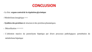 CONCLUSION
- Le foie: organe central de la régulation glycémique
- Métabolisme énergétique +++
- Synthèse des protéines de structure et des protéinesplasmatiques.
- Détoxification ++++++
- L’altération massive du parenchyme hépatique par divers processus pathologiques: perturbation du
métabolisme hépatique
 
