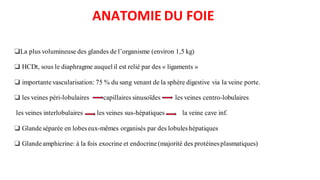ANATOMIE DU FOIE
❑La plus volumineuse des glandes de l’organisme (environ 1,5 kg)
❑ HCDt, sous le diaphragme auquel il est relié par des « ligaments »
❑ importantevascularisation: 75 % du sang venant de la sphère digestive via la veine porte.
❑ les veines péri-lobulaires capillaires sinusoïdes les veines centro-lobulaires
les veines interlobulaires les veines sus-hépatiques la veine cave inf.
❑ Glandeséparée en lobeseux-mêmes organisés par des lobuleshépatiques
❑ Glandeamphicrine: à la fois exocrine et endocrine(majorité des protéinesplasmatiques)
 