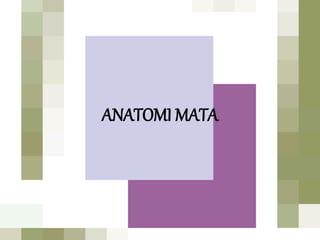 ANATOMI MATA
 