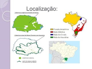 Localização:
 