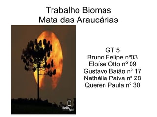 Trabalho Biomas
Mata das Araucárias
GT 5
Bruno Felipe nº03
Eloíse Otto nº 09
Gustavo Baião nº 17
Nathália Paiva nº 28
Queren Paula nº 30
 
