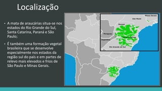 Localização
• A mata de araucárias situa-se nos
estados do Rio Grande do Sul,
Santa Catarina, Paraná e São
Paulo;
• É também uma formação vegetal
brasileira que se desenvolve
especialmente nos estados da
região sul do país e em partes de
relevo mais elevados e frios de
São Paulo e Minas Gerais.
 