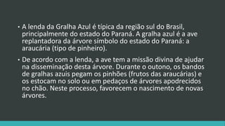 • A lenda da Gralha Azul é típica da região sul do Brasil,
principalmente do estado do Paraná. A gralha azul é a ave
replantadora da árvore símbolo do estado do Paraná: a
araucária (tipo de pinheiro).
• De acordo com a lenda, a ave tem a missão divina de ajudar
na disseminação desta árvore. Durante o outono, os bandos
de gralhas azuis pegam os pinhões (frutos das araucárias) e
os estocam no solo ou em pedaços de árvores apodrecidos
no chão. Neste processo, favorecem o nascimento de novas
árvores.
 