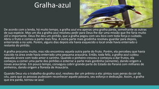 Gralha-azul
De acordo com a lenda, há muito tempo, a gralha azul era apenas uma gralha parda, semelhante as outras
de sua espécie. Mas um dia a gralha azul resolveu pedir para Deus lhe dar uma missão que lhe faria muito
útil e importante. Deus lhe deu um pinhão, que a gralha pegou com seu bico com toda força e cuidado.
Abriu o fruto e comeu a parte mais fina. A outra parte mais grodinha resolveu guardar para depois,
enterrando a no solo. Porém, alguns dias depois ela havia esquecido o local onde havia enterrado o
restante do pinhão.
A gralha procurou muito, mas não encontrou aquela outra parte do fruto. Porém, ela percebeu que havia
nascido na área onde havia enterrado uma pequena araucária. Então, toda feliz, a gralha azul cuidou
daquela árvore com todo amor e carinho. Quando o pinheiro cresceu e começou a dar frutos, ela
começou a comer uma parte dos pinhões e enterrar a parte mais gordinha (semente), dando origem a
novas araucárias. Em pouco tempo, conseguiu cobrir grande parte do Estado do Paraná com milhares de
pinheiros, dando origem a floresta de Araucária.
Quando Deus viu o trabalho da gralha azul, resolveu dar um prêmio a ela: pintou suas penas da cor do
céu, para que as pessoas pudessem reconhecer aquele pássaro, seu esforço e dedicação. Assim, a gralha
que era parda, tornou-se azul.
 