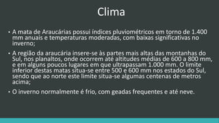 Clima
• A mata de Araucárias possui índices pluviométricos em torno de 1.400
mm anuais e temperaturas moderadas, com baixas significativas no
inverno;
• A região da araucária insere-se às partes mais altas das montanhas do
Sul, nos planaltos, onde ocorrem até altitudes médias de 600 a 800 mm,
e em alguns poucos lugares em que ultrapassam 1.000 mm. O limite
inferior destas matas situa-se entre 500 e 600 mm nos estados do Sul,
sendo que ao norte este limite situa-se algumas centenas de metros
acima;
• O inverno normalmente é frio, com geadas frequentes e até neve.
 
