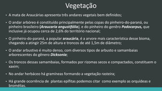 Vegetação
• A mata de Araucárias apresenta três andares vegetais bem definidos;
• O andar arbóreo é constituído principalmente pelas copas do pinheiro-do-paraná, ou
pinheiro brasileiro (Araucaria angustifólia), e do pinheiro do genêro Podocarpus, que
inclusive já ocupou cerca de 2,6% do território nacional;
• O pinheiro-do-paraná, a popular araucária, é a arvore mais característica desse bioma,
chegando a atingir 25m de altura e troncos de até 1,5m de diâmetro;
• O andar arbustivo é muito denso, com diversos tipos de arbusto e samambaias
arborescentes do gênero Dicksonia;
• Os troncos dessas samambaias, formados por rizomas secos e compactados, constituem o
xaxim;
• No andar herbáceo há gramíneas formando a vegetação rasteira;
• Há grande ocorrência de plantas epífitas podemos citar como exemplo as orquídeas e
bromélias.
 