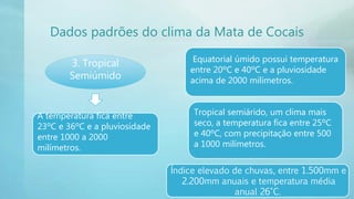 Mata dos cocais | PPTX