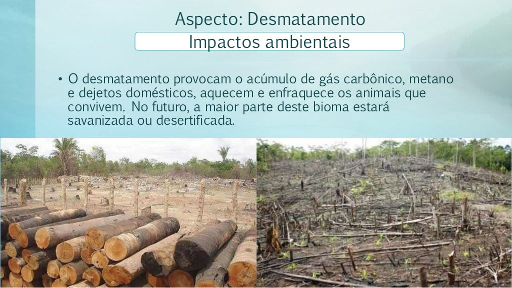 O Bioma Dos Cocais Caracteriza Se Principalmente Pela Presença De