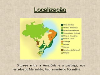 Localização




   Situa-se entre a Amazônia e a caatinga, nos
estados do Maranhão, Piauí e norte do Tocantins.
 