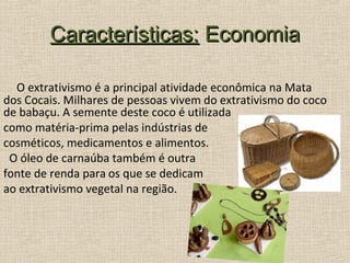 Características: Economia

  O extrativismo é a principal atividade econômica na Mata
dos Cocais. Milhares de pessoas vivem do extrativismo do coco
de babaçu. A semente deste coco é utilizada
como matéria-prima pelas indústrias de
cosméticos, medicamentos e alimentos.
 O óleo de carnaúba também é outra
fonte de renda para os que se dedicam
ao extrativismo vegetal na região.
 