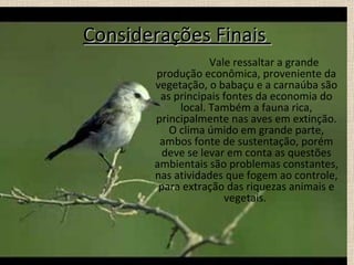 Considerações Finais  Vale ressaltar a grande produção econômica, proveniente da vegetação, o babaçu e a carnaúba são as principais fontes da economia do local. Também a fauna rica, principalmente nas aves em extinção. O clima úmido em grande parte, ambos fonte de sustentação, porém deve se levar em conta as questões ambientais são problemas constantes, nas atividades que fogem ao controle, para extração das riquezas animais e vegetais.  
