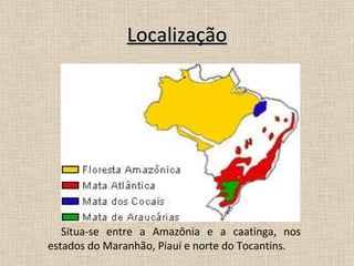 Localização Situa-se entre a Amazônia e a caatinga, nos estados do Maranhão, Piauí e norte do Tocantins. 