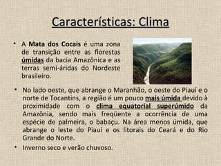 Características: Clima A  Mata dos Cocais  é uma zona de transição entre as florestas  úmidas  da bacia Amazônica e as terras semi-áridas do Nordeste brasileiro.  No lado oeste, que abrange o Maranhão, o oeste do Piauí e o norte de Tocantins, a região é um pouco  mais úmida  devido à proximidade com o  clima equatorial superúmido  da Amazônia, sendo mais freqüente a ocorrência de uma espécie de palmeira, o babaçu. Na área menos úmida, que abrange o leste do Piauí e os litorais do Ceará e do Rio Grande do Norte.  Inverno seco e verão chuvoso. 