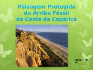 Joana, nº16
8ºC
 