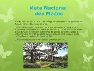 A Mata Nacional dos Medos é um espaço verde localizado no concelho de
Almada, com 340 hectares de área.
Devido à deslocação das areias das dunas existentes a Oeste, o rei D.
João V mandou plantar esta mata, no século XVIII, para evitar que essas
areias dunares invadissem os terrenos de génese agrícola situados a
leste. Devido a ter sido mandada plantar pelo rei, esta zona era ainda
conhecida pela designação Pinhal do Rei.
O local foi classificado como Reserva Botânica, em 1971.
 