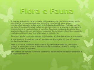 A mata é sobretudo caracterizada pela presença de pinheiro-manso, sendo
constituída por comunidades de arbustos característicos de zonas
mediterrânicas onde se faz sentir a influência do Atlântico. Outras espécies
de ocorrência significativa incluem o pinheiro-bravo, a aroeira, o carrasco, o
medronheiro, o rosmaninho e o tomilho. Ocorrem matagais de sabina-das-
praias juntamente com pinheiros, matagais de carrasco, e também zonas de
matos constituídos por tojo-chamusco e camarinha.
Ocorrem ainda, com uma menos distribuição, a joina-das-areias e o sargaço.
A mata possui 3 espécies que só existem em Portugal e 15 que só existem
na Península Ibérica.
Aqui ocorrem e nidificam aves como a águia-de-asa-redonda, o mocho-
galego e a coruja-do-mato. Em termos de mamíferos, ocorre o texugo, o
ouriço-cacheiro e a gineta.
Em termos de répteis e anfíbios ocorrem a salamandra-de-pintas-amarelas e
a lagartixa-ibérica.
 