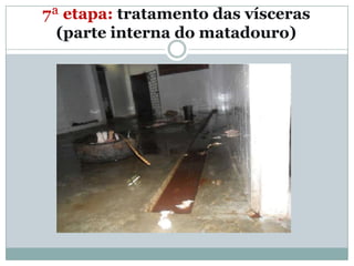 7ª etapa: tratamento das vísceras
  (parte interna do matadouro)
 