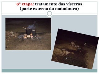 9ª etapa: tratamento das vísceras
 (parte externa do matadouro)
 