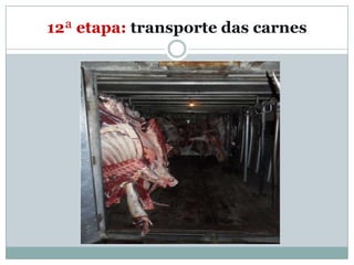 12ª etapa: transporte das carnes
 