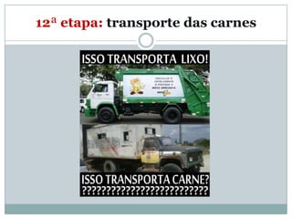 12ª etapa: transporte das carnes
 