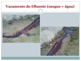 Vazamento do Efluente (sangue + água)
 