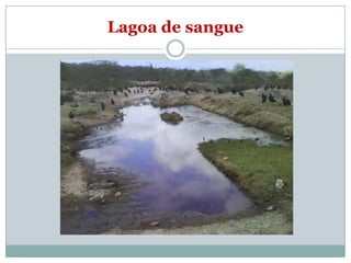 Lagoa de sangue
 