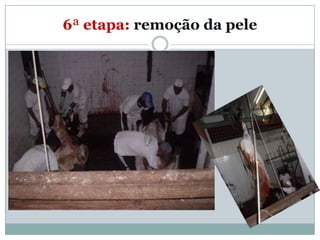 6ª etapa: remoção da pele
 