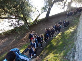 Mataleñas - 1º EP - Octubre 2015
 