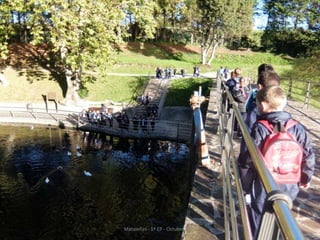 Mataleñas - 1º EP - Octubre 2015
 