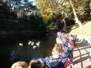 Mataleñas - 1º EP - Octubre 2015
 