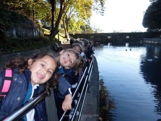 Mataleñas - 1º EP - Octubre 2015
 