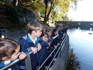 Mataleñas - 1º EP - Octubre 2015
 