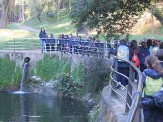 Mataleñas - 1º EP - Octubre 2015
 