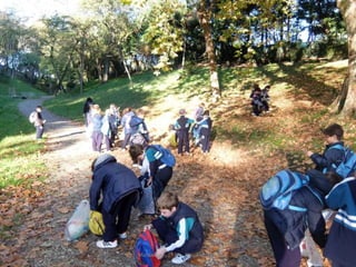 Mataleñas - 1º EP - Octubre 2015
 