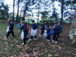 Mataleñas - 1º EP - Octubre 2015
 