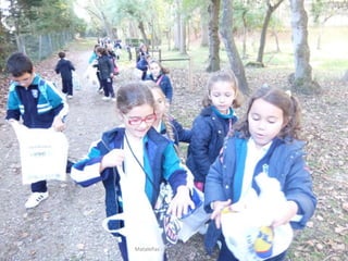 Mataleñas - 1º EP - Octubre 2015
 