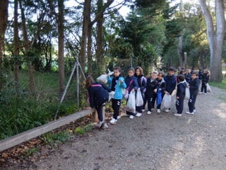 Mataleñas - 1º EP - Octubre 2015
 