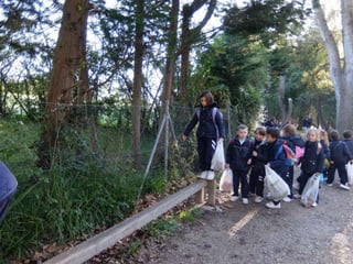 Mataleñas - 1º EP - Octubre 2015
 