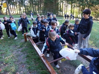 Mataleñas - 1º EP - Octubre 2015
 