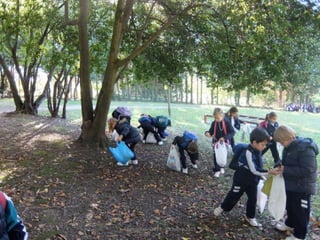 Mataleñas - 1º EP - Octubre 2015
 