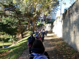 Mataleñas - 1º EP - Octubre 2015
 