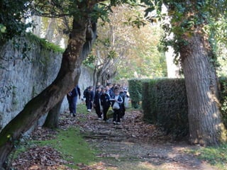 Mataleñas - 1º EP - Octubre 2015
 