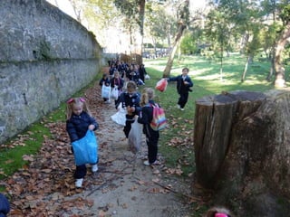 Mataleñas - 1º EP - Octubre 2015
 